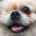 Erik Nygard - @nygardkarl - Instagram