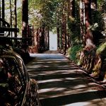 Karl Odoms - @karlwodoms - Instagram