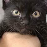 Karl Koehler - @karl.koehler - Instagram