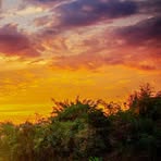 Carl Oestreich - Facebook