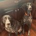 Karla Offermann - Facebook