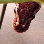 @karl._.ogden - Instagram