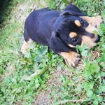 karlo hrg - @karlohrg - Instagram