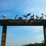 Bursa Karacabey Longoz Ormanı - @karacabey_longozu - Instagram