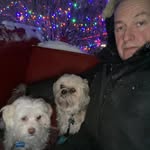 Karl O'keefe - @okeefekarl - Instagram
