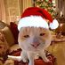 Carl Olivarez - Facebook