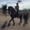 Karla Olivarez - @karlaolivarez7 - TikTok