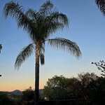 Karl Olson - @karlfishin73 - Instagram