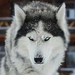 Karl-Johan Österman - @olle76 - Instagram
