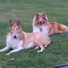 karlostrowski - @karlostrowski - TikTok