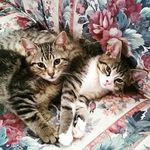 Karl Oswald - @karlandoswald_ - Instagram
