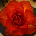 Karl-Oswald Klepper - @karloswaldk - Instagram