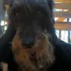 karlotto der 2 - @karlotto.der.2 - TikTok