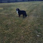 Mike Karl - @mike.karlpace - Instagram