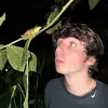Eli - @karlpages_ - TikTok