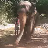 karlpage22 - @karlpage22 - TikTok
