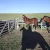 Nice si tengo alguno - @karlapecora - TikTok