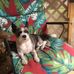 Carl Pilgrim - Facebook