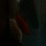 karl dewane pilgrim - @fishyfish_karl - Instagram