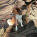 Karl-Heinz Pilgrim - Facebook