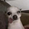 Karl Ponce - @karln6390 - TikTok