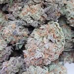 Karl Potts - @karlpotts420 - Instagram