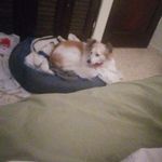 Karl Sigmund Santiago Pratt - @karlsigmund22 - Instagram