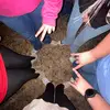 Karley Prescott - @karley.prescott - TikTok