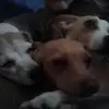 karlramsay0 - @karlramsay0 - TikTok