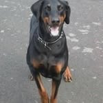 Karl Read - @roobydoo123 - Instagram