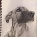 Karl Read Art - Facebook