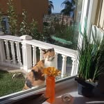 Karl Reith - @karolus1912 - Instagram