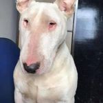 Karl Riley - @karl.riley.963 - Instagram