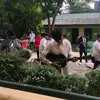 Aldrei Karl Romano - @aldrei.karl.roman - TikTok
