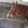 karlrosenberg745 - @karlrosenberg745 - TikTok