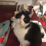 Karl Rossmann - @karl_rossmann666 - Instagram