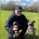 Karl Roy Cummins - @reaver_american_bully_uk - Instagram