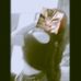 Karla Elena Garabito Rufino - Facebook