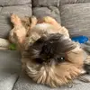 Karl - @karlrusso - TikTok