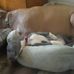 Karla Rutledge - Facebook