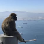@karl_saint_rebel - Instagram