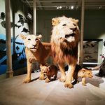 Karl Sass - @sass.karl - Instagram