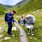 Karl Schäfer - @karlthegrey - Instagram