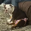 karlaschafer - @karlaschafer - TikTok