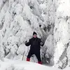 karlschaffer5 - @karlschaffer5 - TikTok