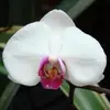 Karl Shellenberger - @karl.shellenberge - TikTok