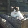 Karlheinz Schoenthaler - @karlheinz.schoent - TikTok