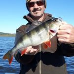 Karl Scholler - @karl.scholler - Instagram