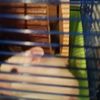 karl_schröder - @karl_schröder - TikTok
