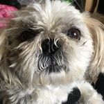 Karl Slater - @kkarlosg - Instagram